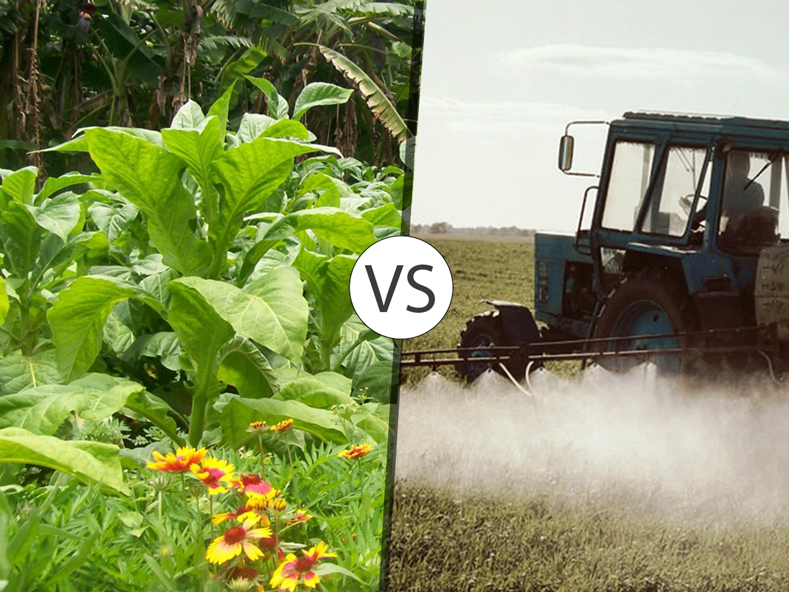 Organic Agriculture Vs Conventional Agriculture - Smoking Organic